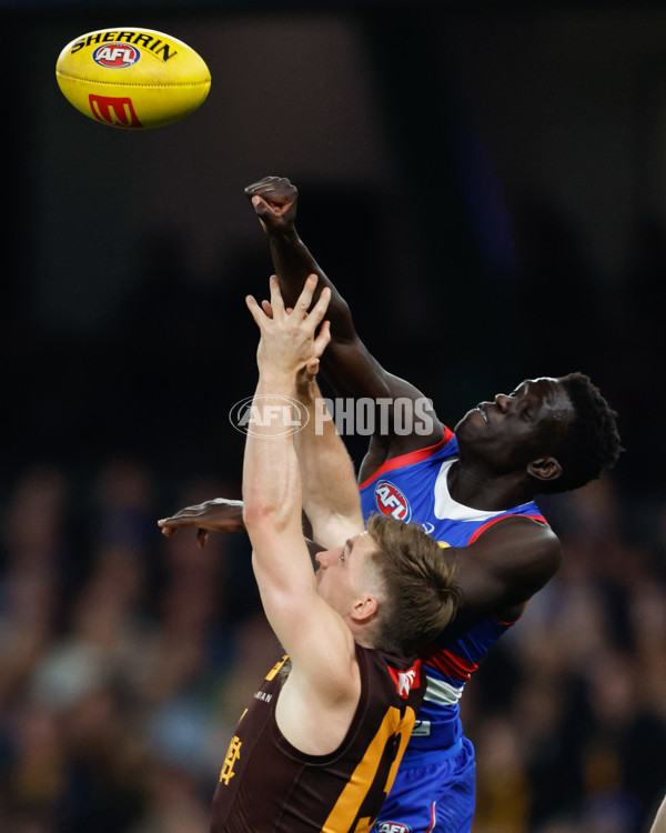 AFL 2024 Round 08 - Western Bulldogs v Hawthorn - A-48767607