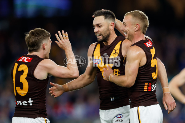 AFL 2024 Round 08 - Western Bulldogs v Hawthorn - A-48767608