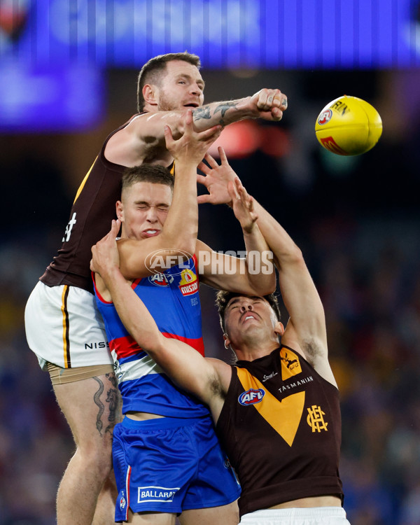 AFL 2024 Round 08 - Western Bulldogs v Hawthorn - A-48767609