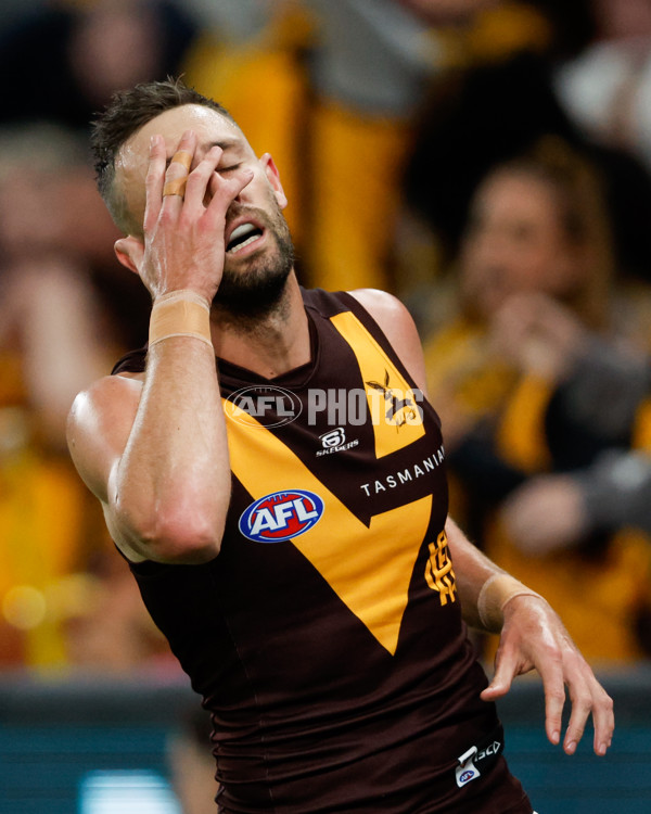 AFL 2024 Round 08 - Western Bulldogs v Hawthorn - A-48767610