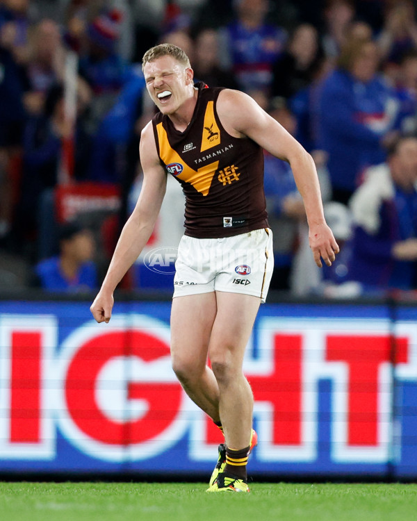 AFL 2024 Round 08 - Western Bulldogs v Hawthorn - A-48767626