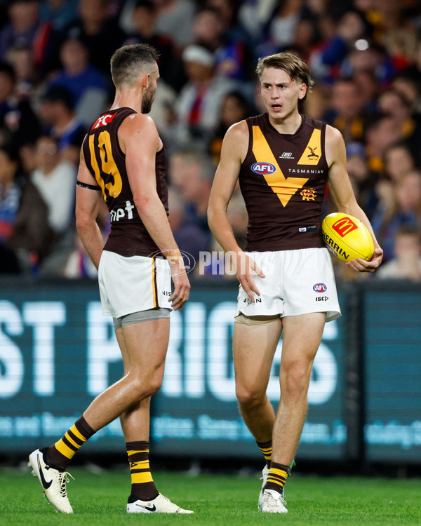 AFL 2024 Round 08 - Western Bulldogs v Hawthorn - A-48767631