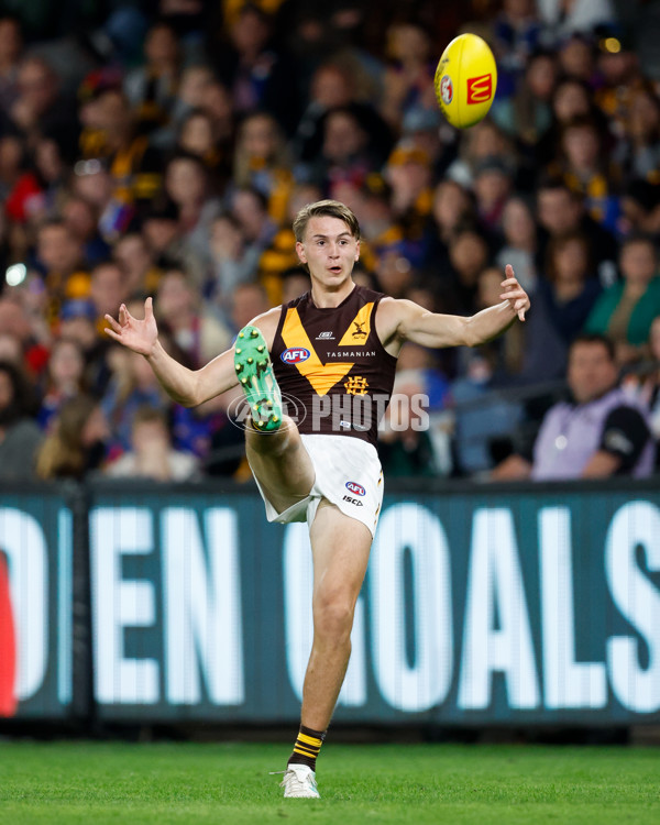 AFL 2024 Round 08 - Western Bulldogs v Hawthorn - A-48767632