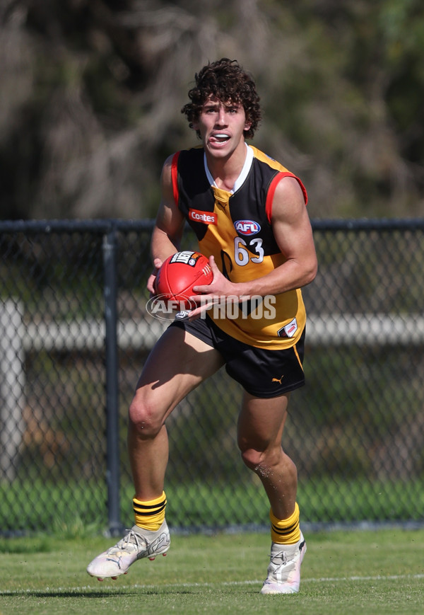 Coates League Boys 2024 Round 06 - Dandenong v Gold Coast SUNS Academy - A-48767634