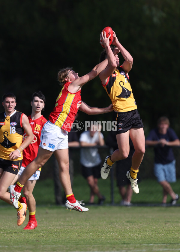 Coates League Boys 2024 Round 06 - Dandenong v Gold Coast SUNS Academy - A-48767635