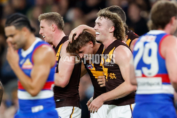 AFL 2024 Round 08 - Western Bulldogs v Hawthorn - A-48767637