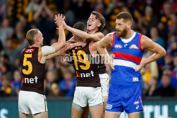 AFL 2024 Round 08 - Western Bulldogs v Hawthorn - A-48767638