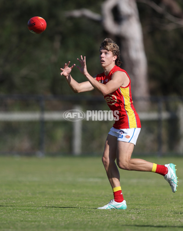 Coates League Boys 2024 Round 06 - Dandenong v Gold Coast SUNS Academy - A-48767639