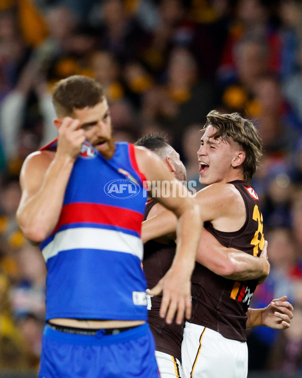 AFL 2024 Round 08 - Western Bulldogs v Hawthorn - A-48767640