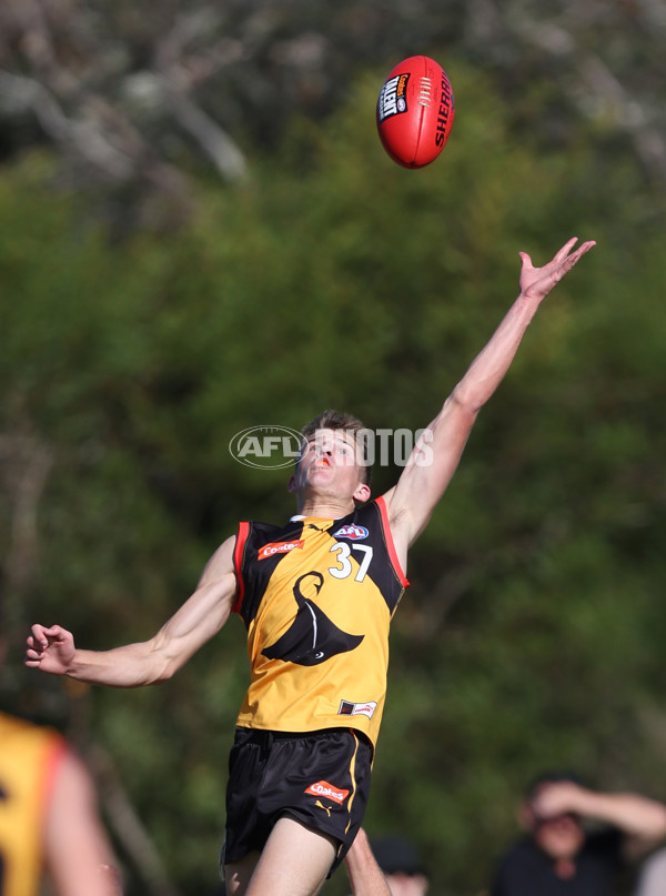 Coates League Boys 2024 Round 06 - Dandenong v Gold Coast SUNS Academy - A-48767641