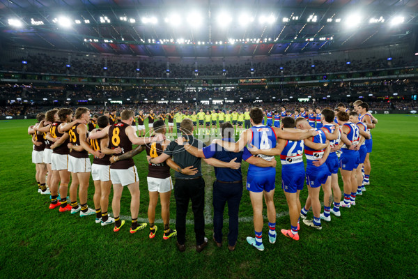 AFL 2024 Round 08 - Western Bulldogs v Hawthorn - A-48768564
