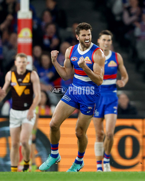AFL 2024 Round 08 - Western Bulldogs v Hawthorn - A-48768565