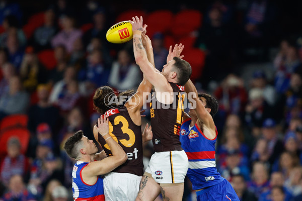 AFL 2024 Round 08 - Western Bulldogs v Hawthorn - A-48768571