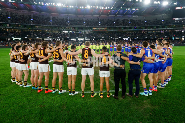 AFL 2024 Round 08 - Western Bulldogs v Hawthorn - A-48768573