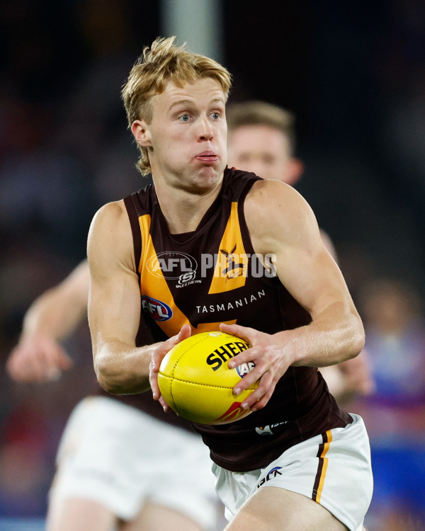 AFL 2024 Round 08 - Western Bulldogs v Hawthorn - A-48768574