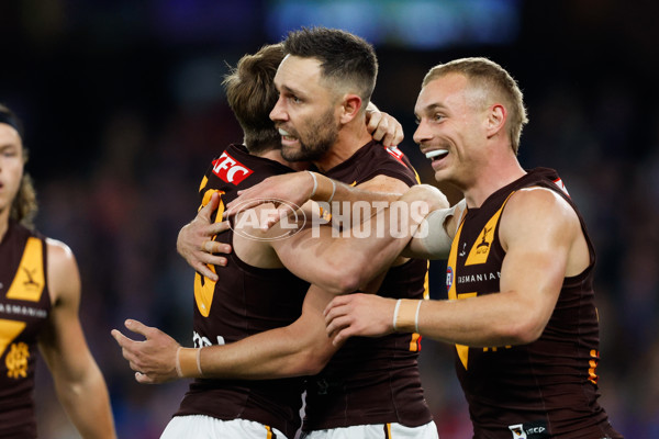 AFL 2024 Round 08 - Western Bulldogs v Hawthorn - A-48768576