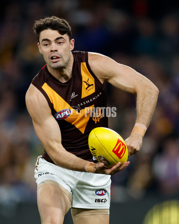 AFL 2024 Round 08 - Western Bulldogs v Hawthorn - A-48768577