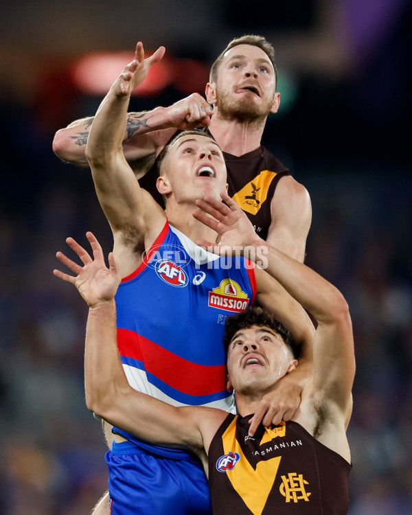 AFL 2024 Round 08 - Western Bulldogs v Hawthorn - A-48768578