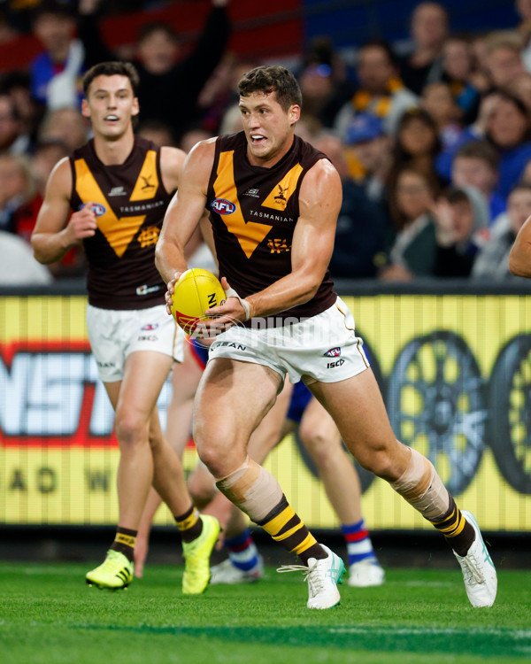 AFL 2024 Round 08 - Western Bulldogs v Hawthorn - A-48768579