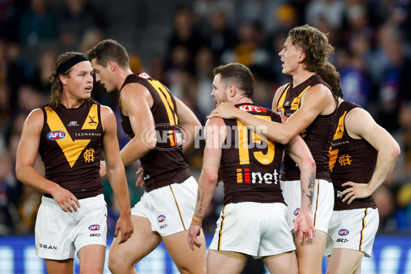 AFL 2024 Round 08 - Western Bulldogs v Hawthorn - A-48768599