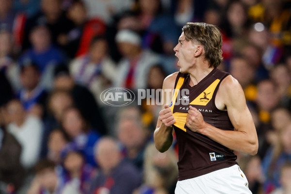 AFL 2024 Round 08 - Western Bulldogs v Hawthorn - A-48768600