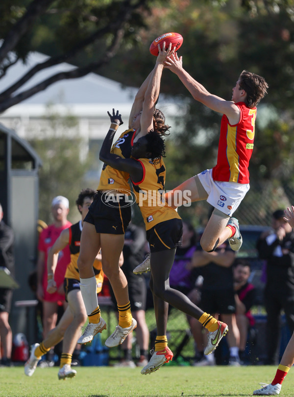 Coates League Boys 2024 Round 06 - Dandenong v Gold Coast SUNS Academy - A-48768601