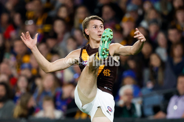 AFL 2024 Round 08 - Western Bulldogs v Hawthorn - A-48768602