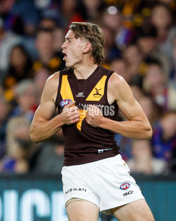 AFL 2024 Round 08 - Western Bulldogs v Hawthorn - A-48768603