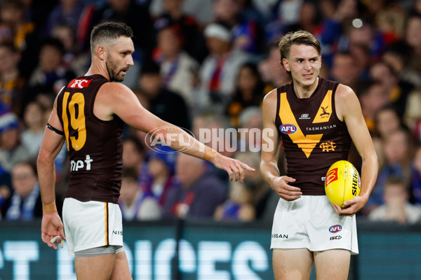 AFL 2024 Round 08 - Western Bulldogs v Hawthorn - A-48768604