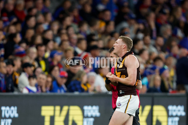 AFL 2024 Round 08 - Western Bulldogs v Hawthorn - A-48768605