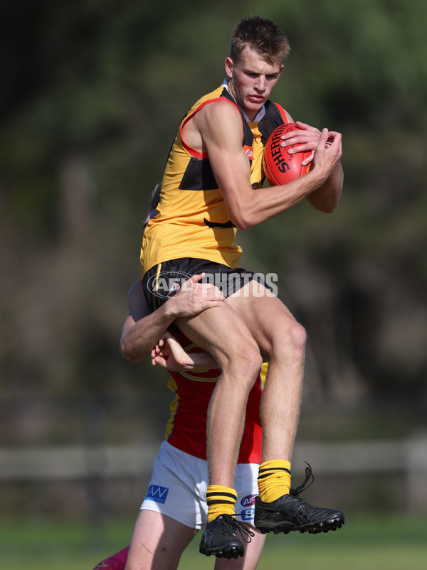 Coates League Boys 2024 Round 06 - Dandenong v Gold Coast SUNS Academy - A-48768607