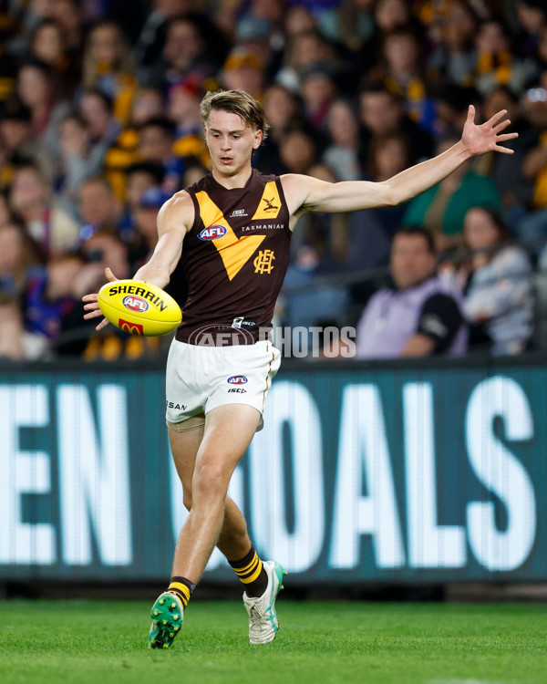 AFL 2024 Round 08 - Western Bulldogs v Hawthorn - A-48768608