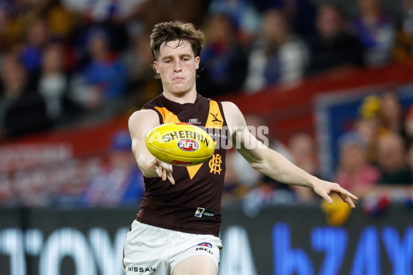 AFL 2024 Round 08 - Western Bulldogs v Hawthorn - A-48768609