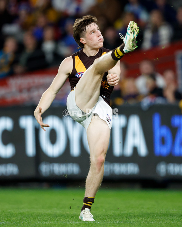 AFL 2024 Round 08 - Western Bulldogs v Hawthorn - A-48768610