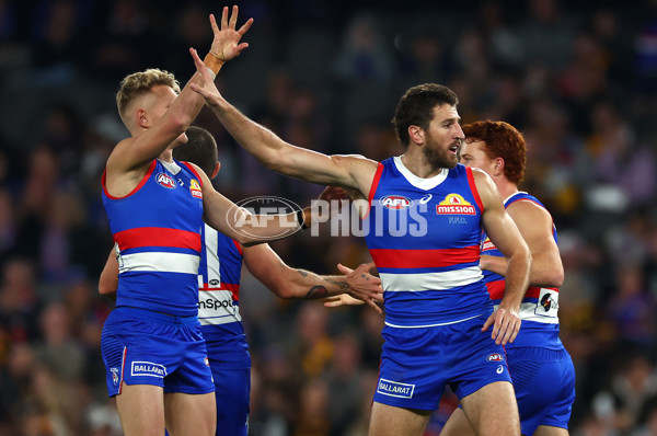AFL 2024 Round 08 - Western Bulldogs v Hawthorn - A-48768627