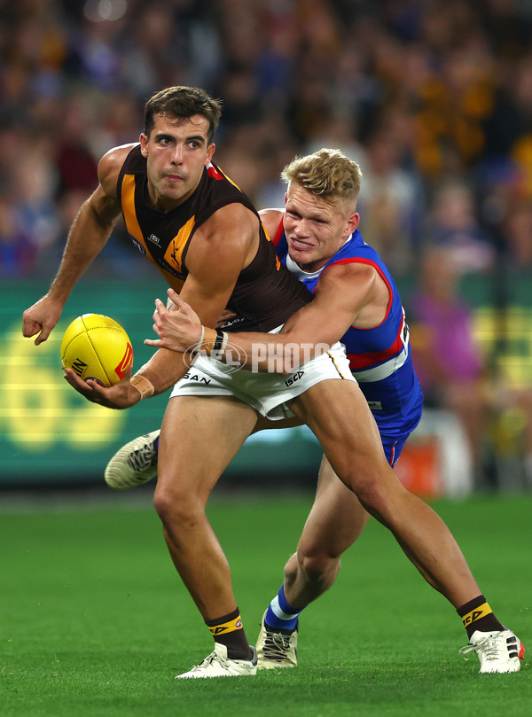 AFL 2024 Round 08 - Western Bulldogs v Hawthorn - A-48768632