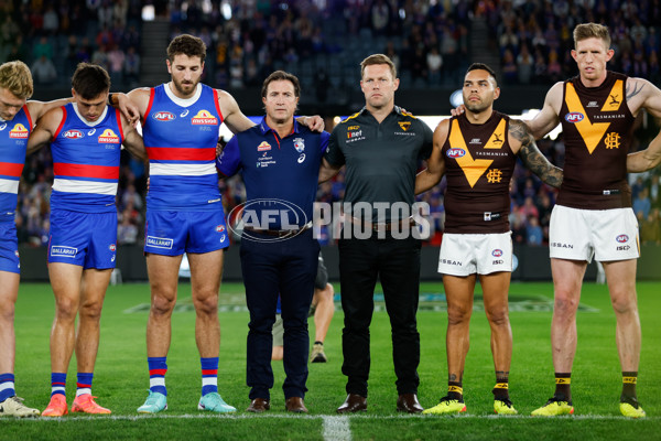 AFL 2024 Round 08 - Western Bulldogs v Hawthorn - A-48768634