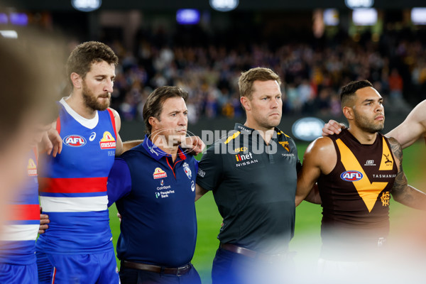 AFL 2024 Round 08 - Western Bulldogs v Hawthorn - A-48768635