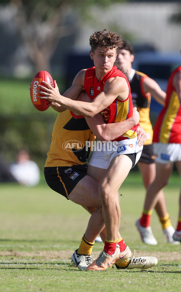 Coates League Boys 2024 Round 06 - Dandenong v Gold Coast SUNS Academy - A-48768640