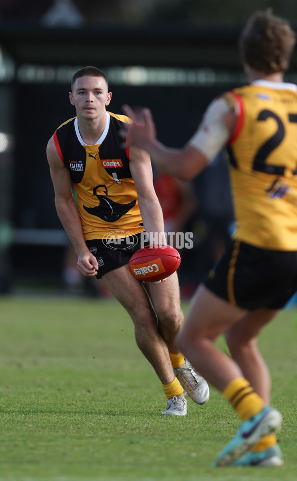 Coates League Boys 2024 Round 06 - Dandenong v Gold Coast SUNS Academy - A-48768641