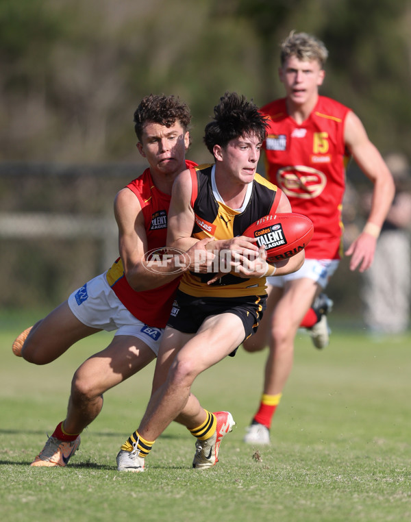 Coates League Boys 2024 Round 06 - Dandenong v Gold Coast SUNS Academy - A-48768644