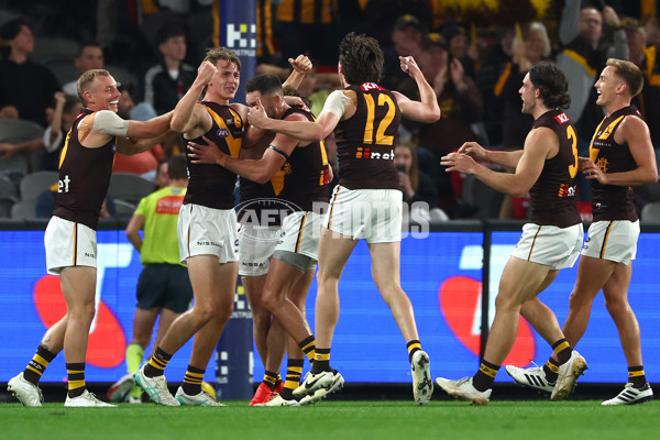AFL 2024 Round 08 - Western Bulldogs v Hawthorn - A-48768657