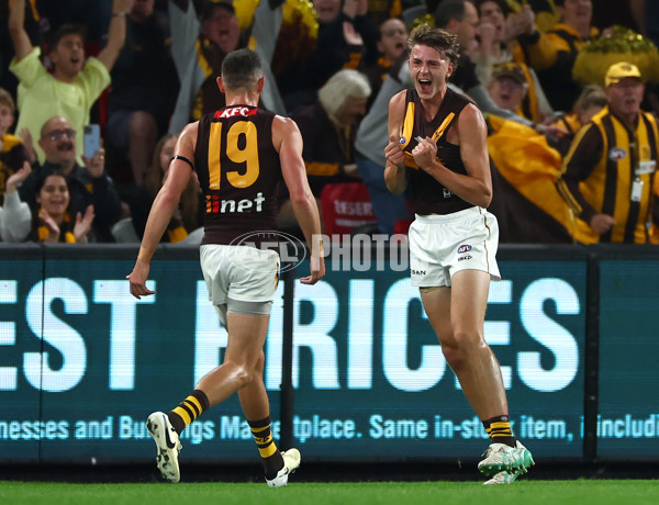 AFL 2024 Round 08 - Western Bulldogs v Hawthorn - A-48769987
