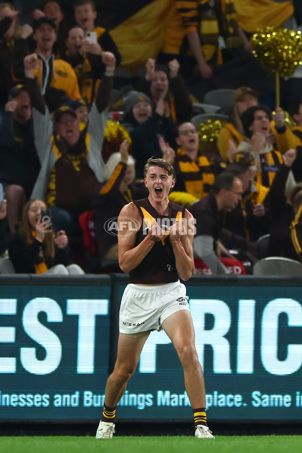 AFL 2024 Round 08 - Western Bulldogs v Hawthorn - A-48769988