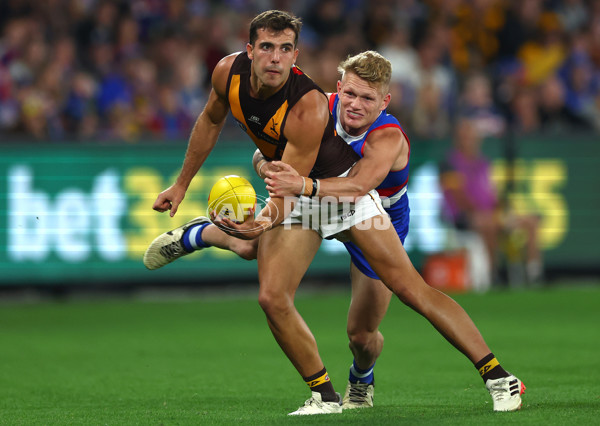 AFL 2024 Round 08 - Western Bulldogs v Hawthorn - A-48769989