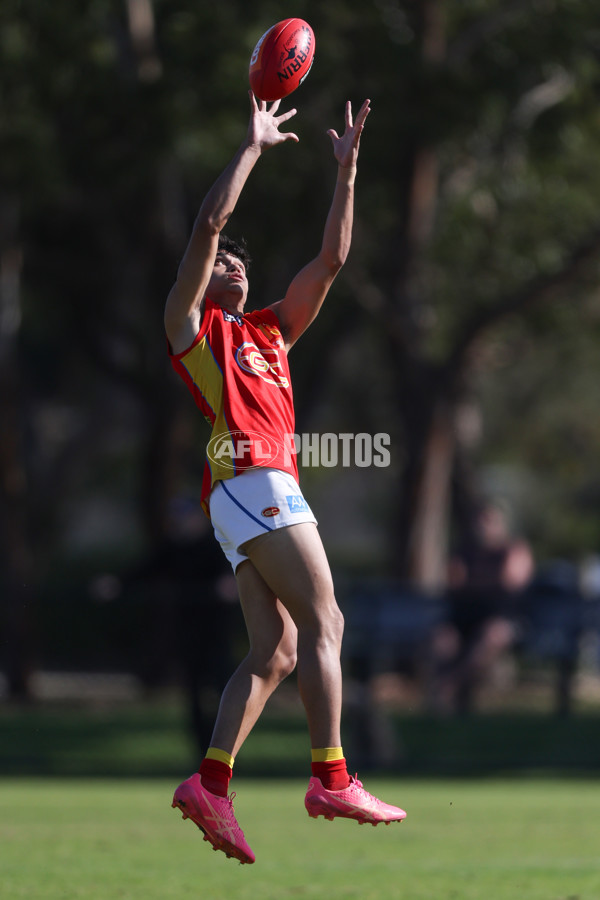 Coates League Boys 2024 Round 06 - Dandenong v Gold Coast SUNS Academy - A-48769990