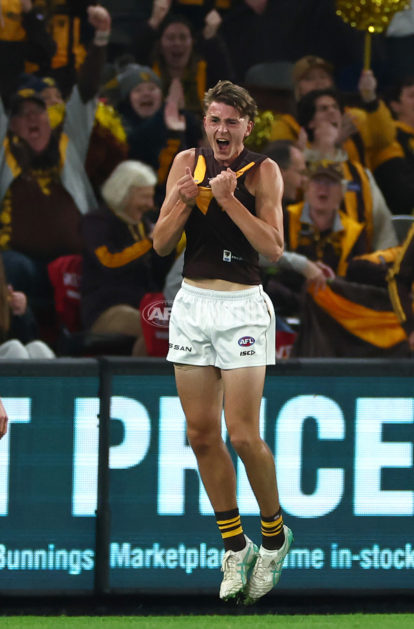 AFL 2024 Round 08 - Western Bulldogs v Hawthorn - A-48769991
