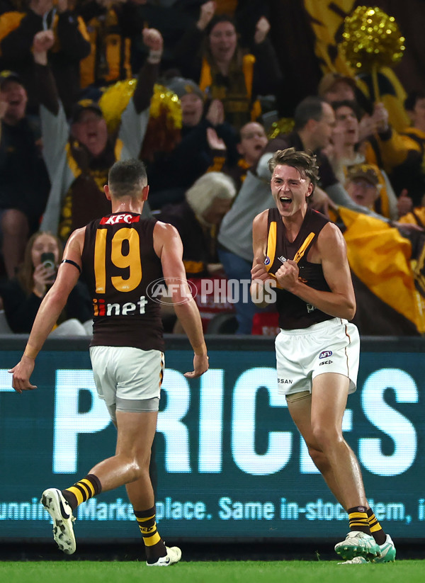 AFL 2024 Round 08 - Western Bulldogs v Hawthorn - A-48769992