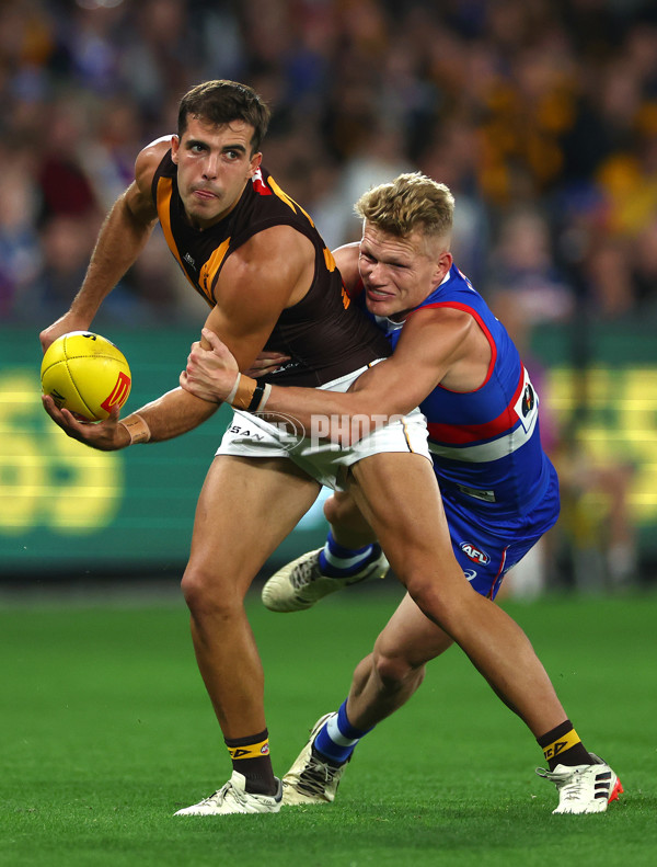 AFL 2024 Round 08 - Western Bulldogs v Hawthorn - A-48769998