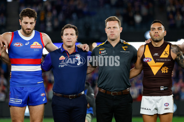AFL 2024 Round 08 - Western Bulldogs v Hawthorn - A-48770000
